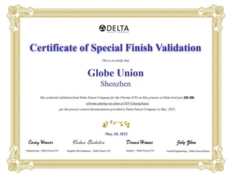 Certificate of Special Finish Validation